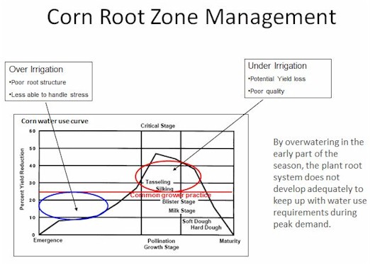 Corn Water Use Curve