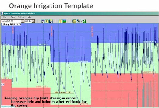 Orange Irrigation Template