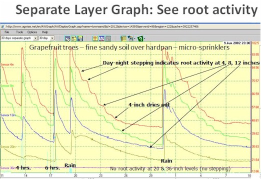 See root activity